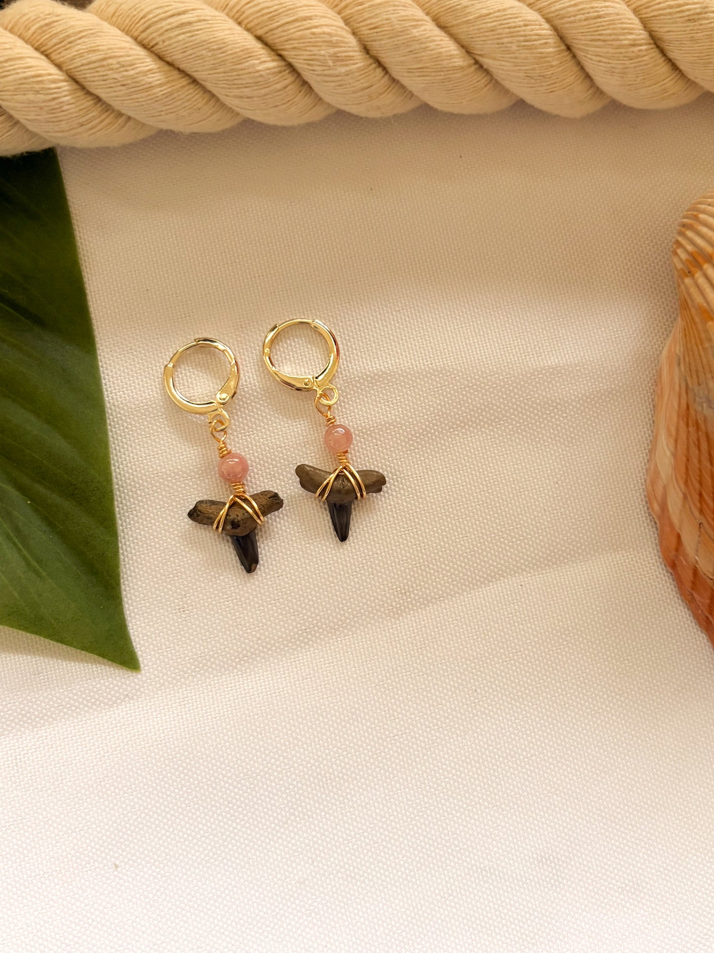 Rose Reef Shark Tooth Earrings – Waterproof Gold Hoops