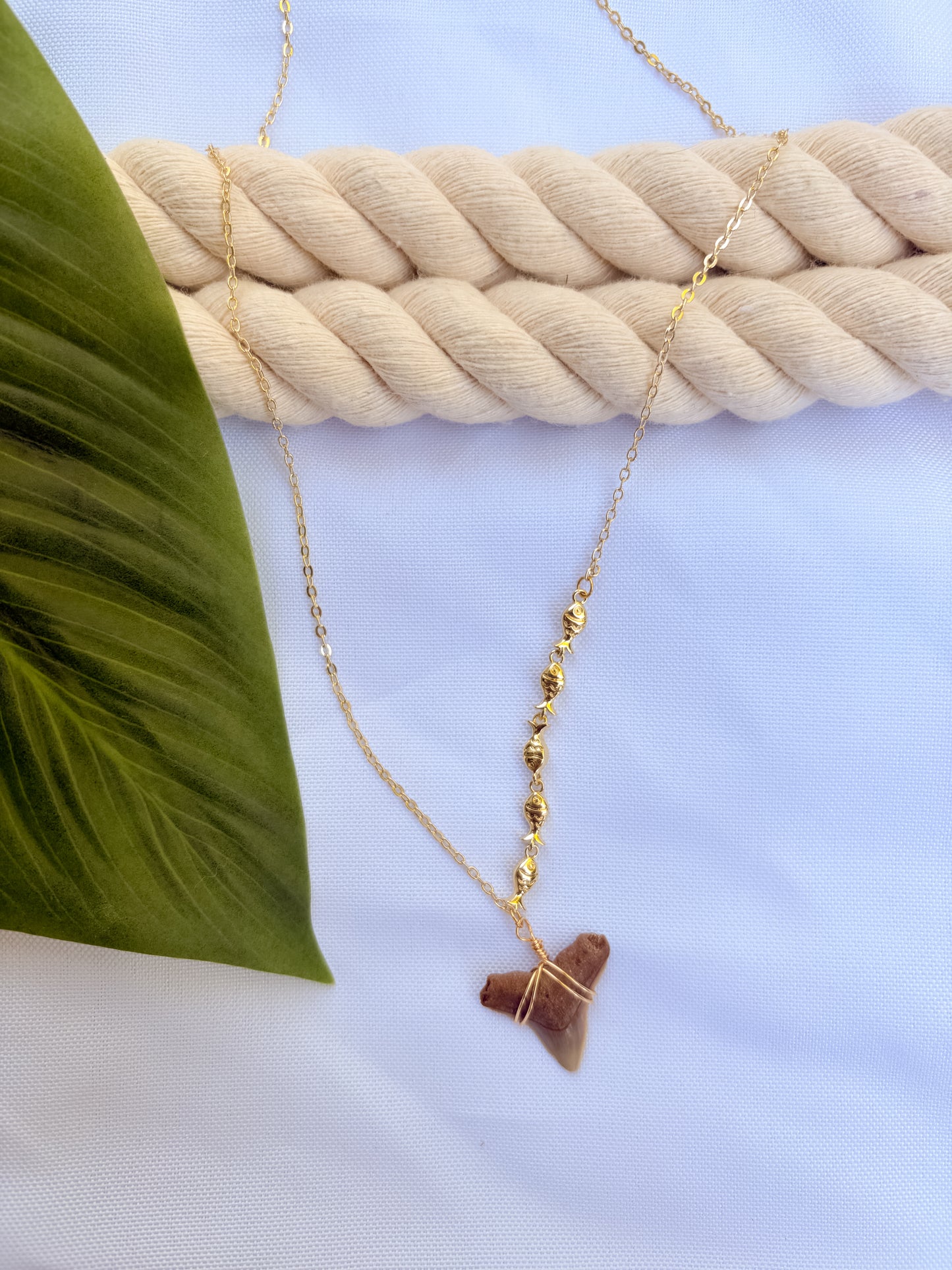 Tidehook Cream Necklace – 18K Gold Filled Fish & Shark Tooth Pendant