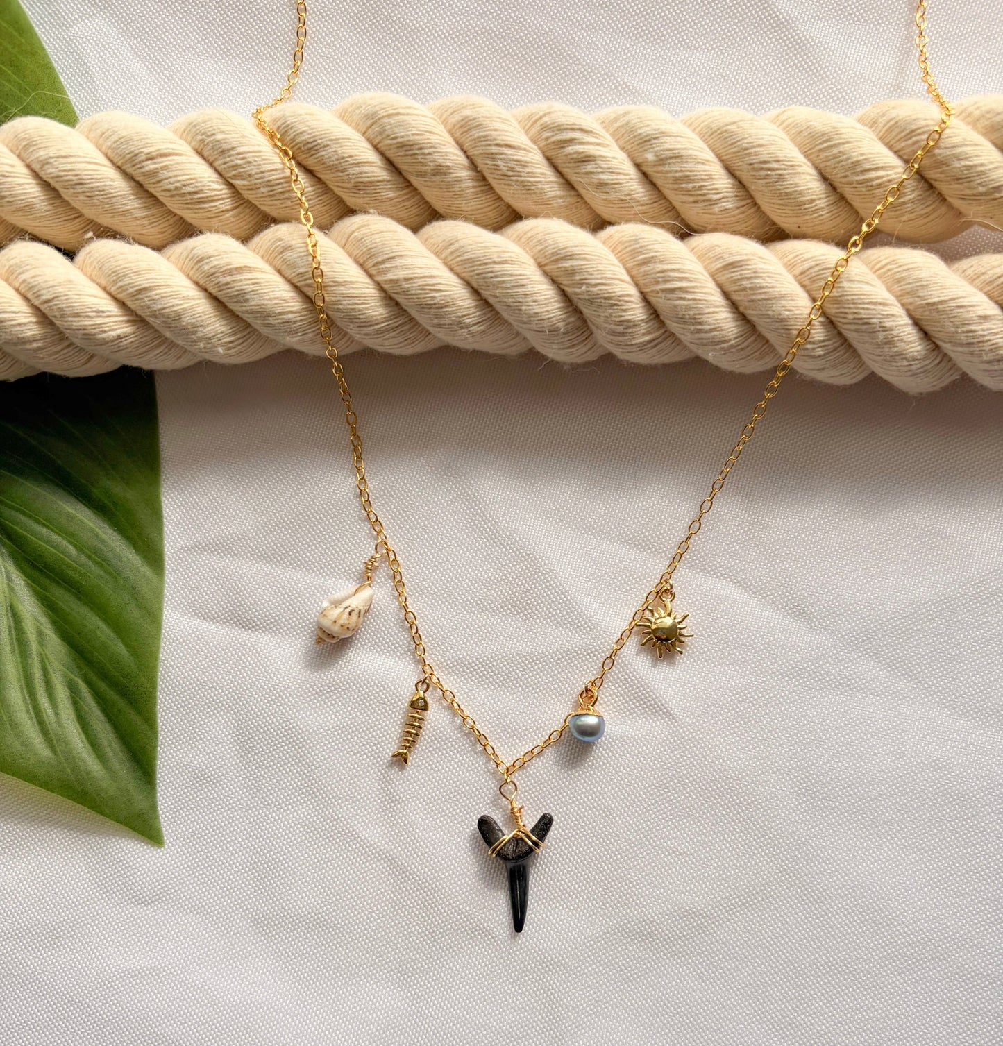 Coastal Sun & Shell Waterproof Gold Filled Shark Tooth Necklace