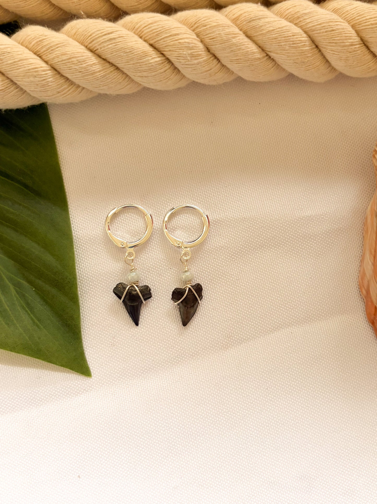 Driftwood Shark Tooth Earrings – Waterproof Silver Hoops