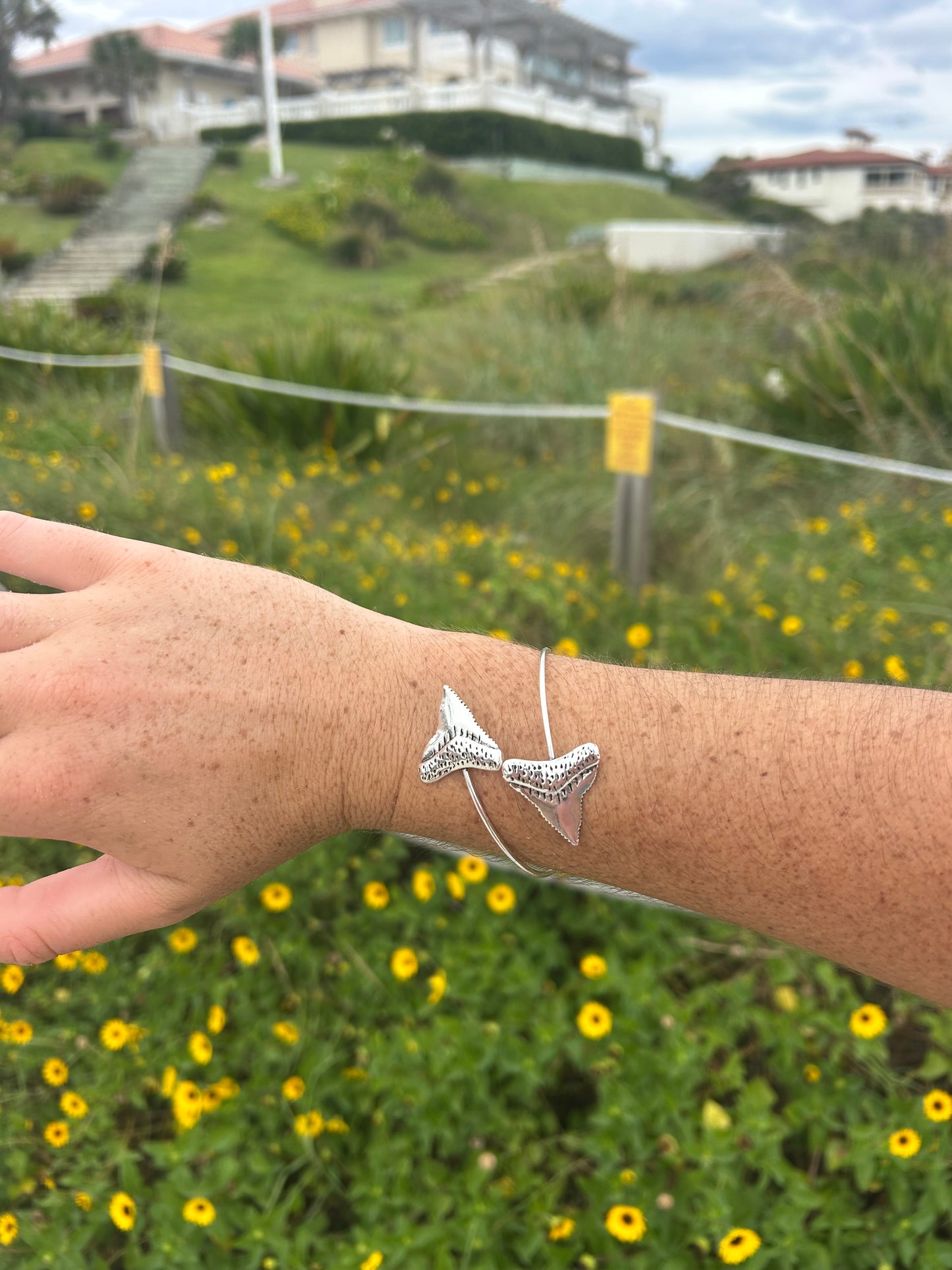 Silver Shark Tooth Cuff
