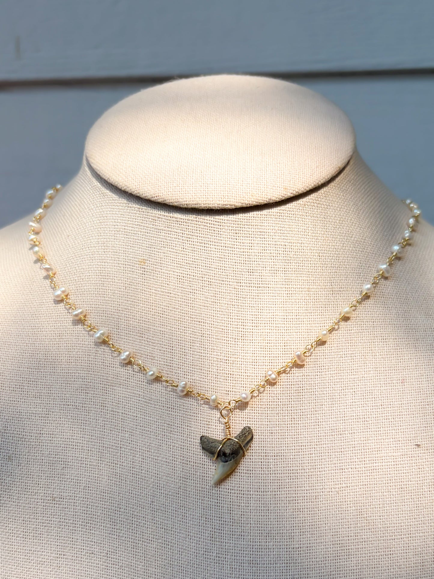 Freshwater Pearl Shark Tooth Necklace