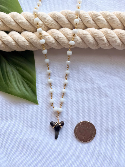 Whitewater Veil Chalcedony Shark Tooth Necklace
