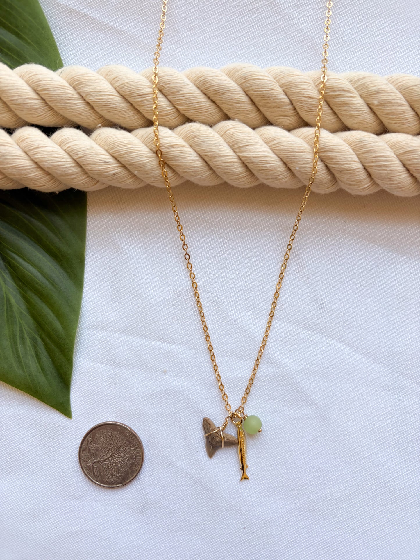 Shark Tooth Cluster Necklace