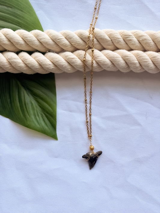 Obsidian Coast Stainless Steel Shark Tooth Necklace