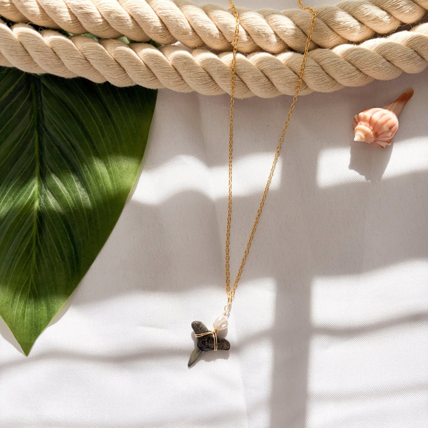 Golden Pearl Drop Shark Tooth Necklace