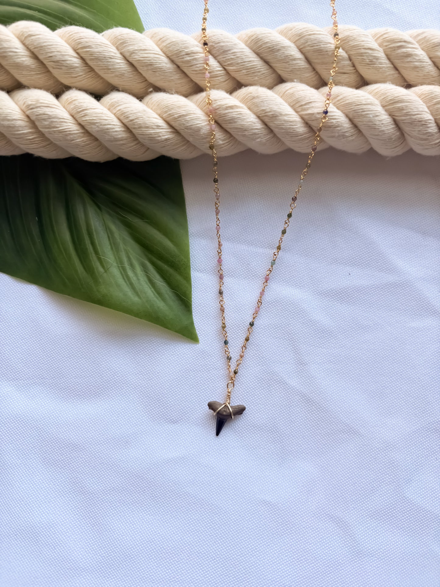 Makai Mini Rainbow Shark Tooth Necklace