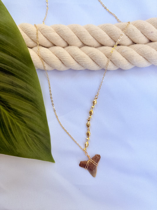 Tidehook Cream Necklace – 18K Gold Filled Fish & Shark Tooth Pendant