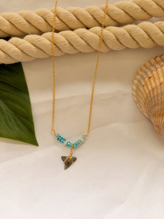 Coastal Blu