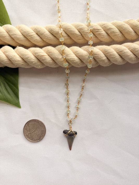 Aquamarine Shark Tooth Necklace