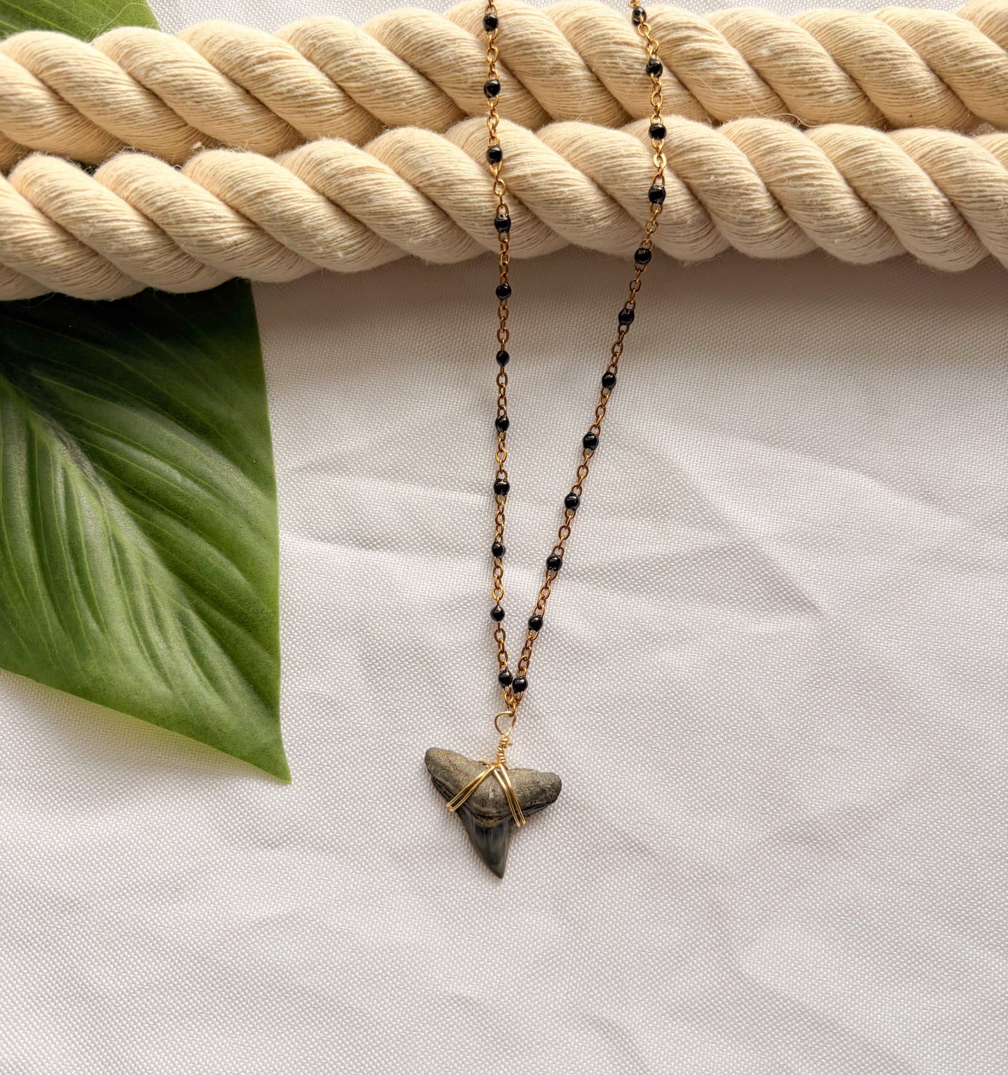 Midnight Tide Stainless Steel Shark Tooth Necklace