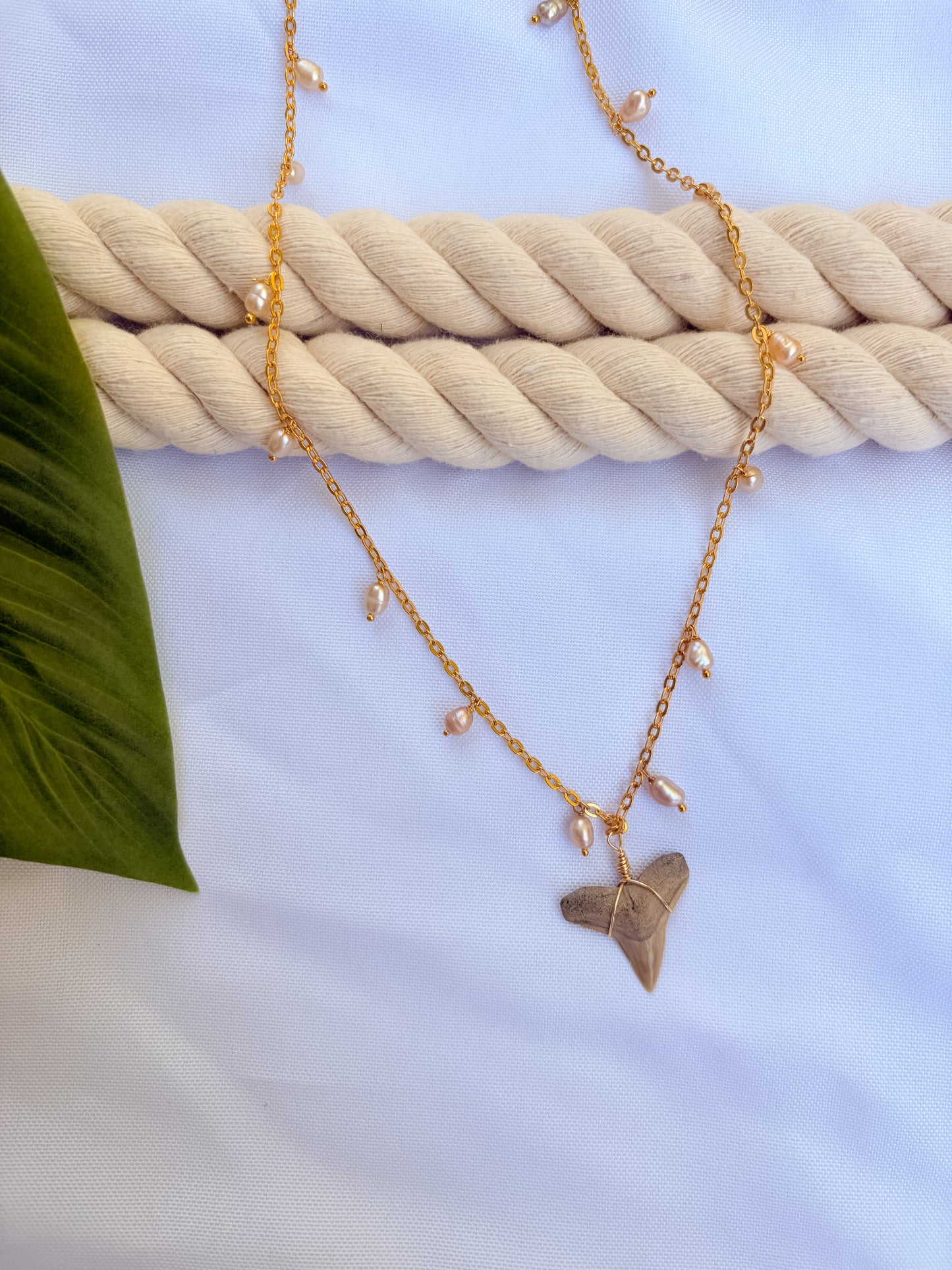 Rosé Current Necklace – Gold Pearl & Shark Tooth Pendant