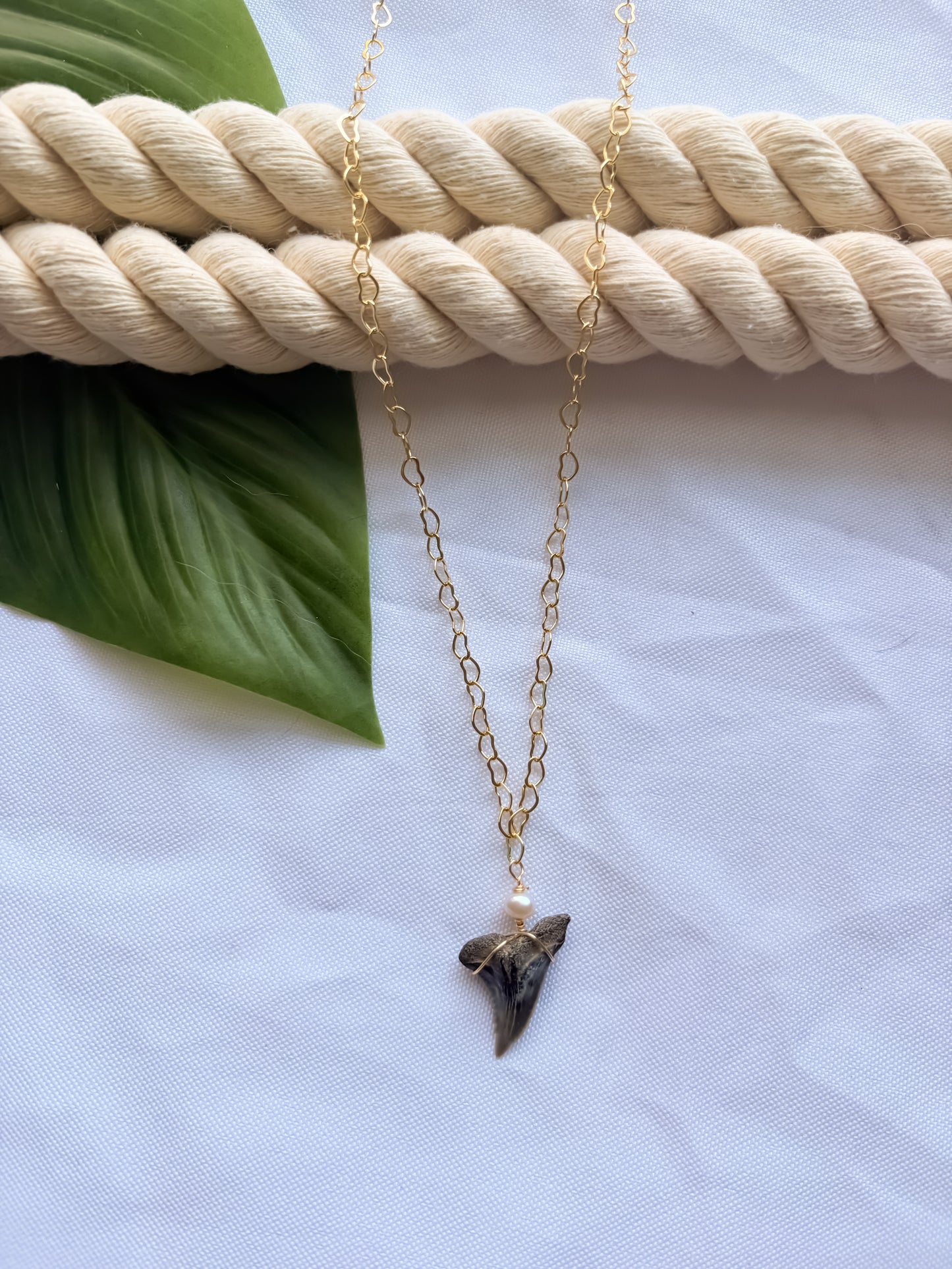 Heart of the Hammerhead- Shark Tooth Necklace
