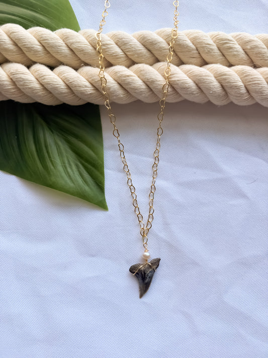 Heart of the Hammerhead- Shark Tooth Necklace