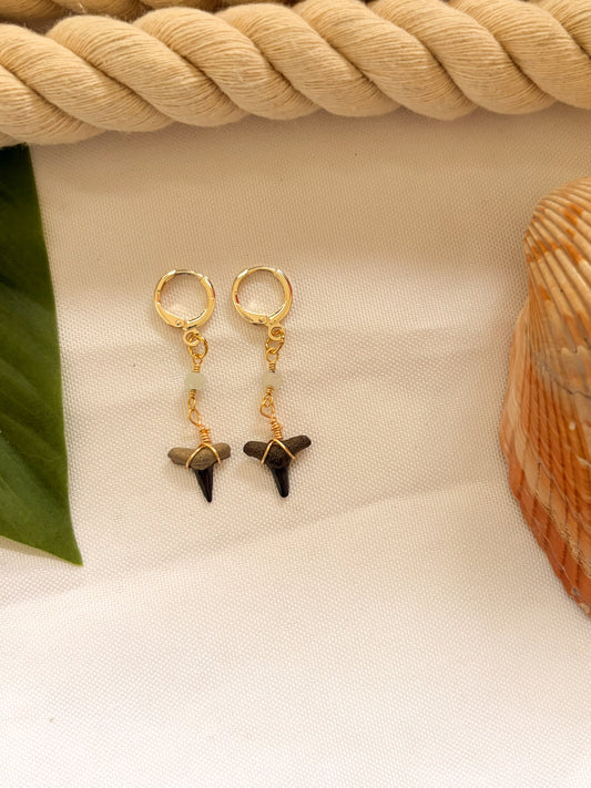 Carolina Current Shark Tooth Hoops – Waterproof Gold Earrings
