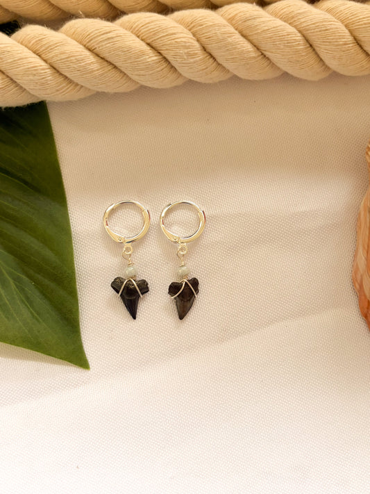 Driftwood Shark Tooth Earrings – Waterproof Silver Hoops