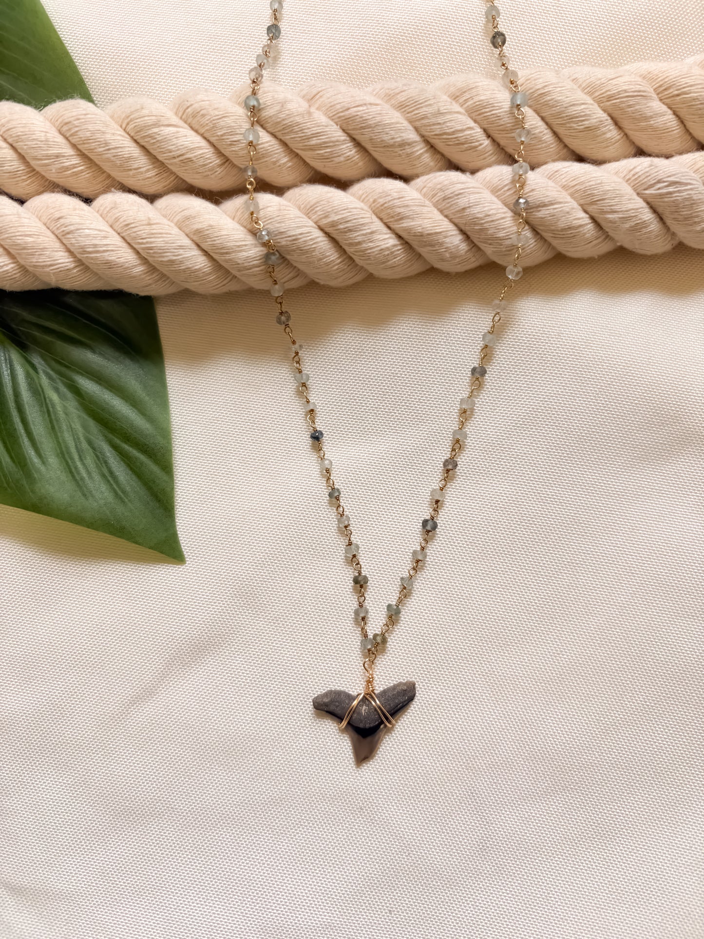 Aqua Tide Shark Tooth Necklace