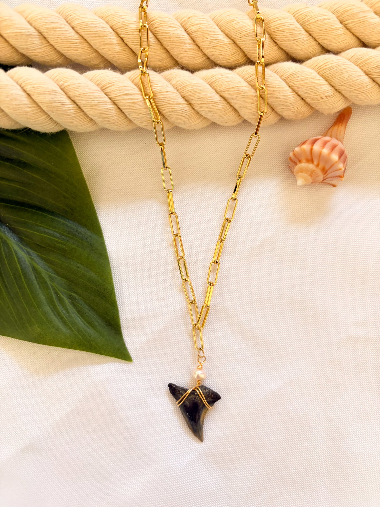 Gold filled mariner necklace featuring a waterproof shark tooth pendant, perfect ocean-inspired jewelry