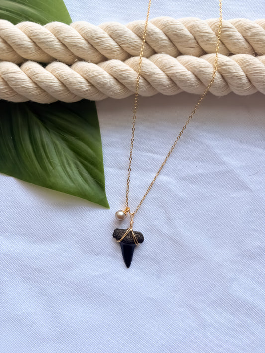 Saltwater Pearl Reef Shark Tooth Necklace