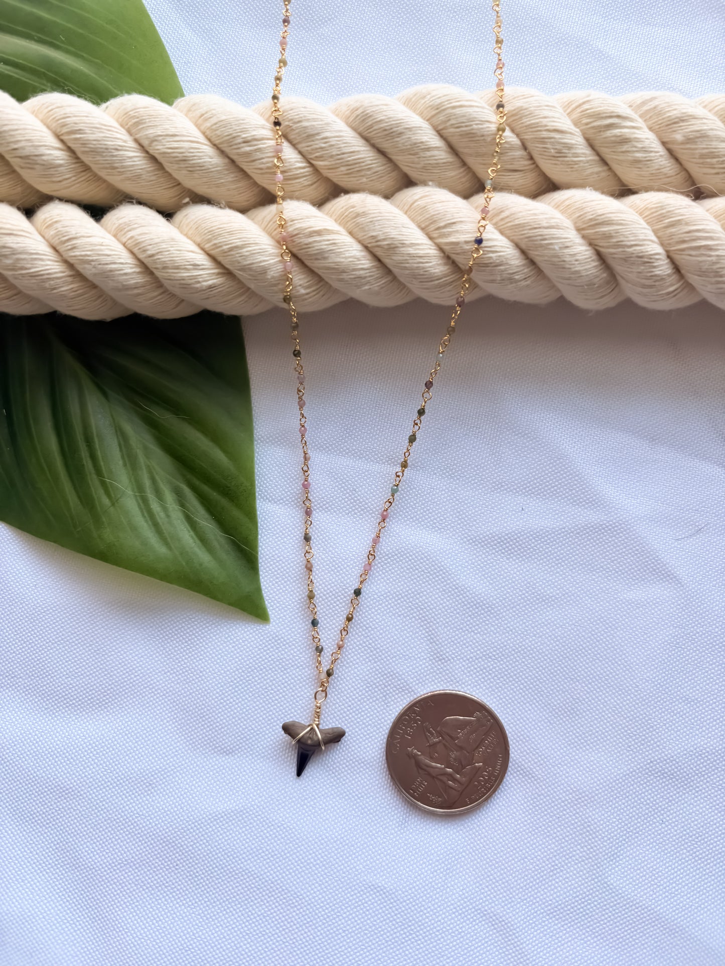Makai Mini Rainbow Shark Tooth Necklace