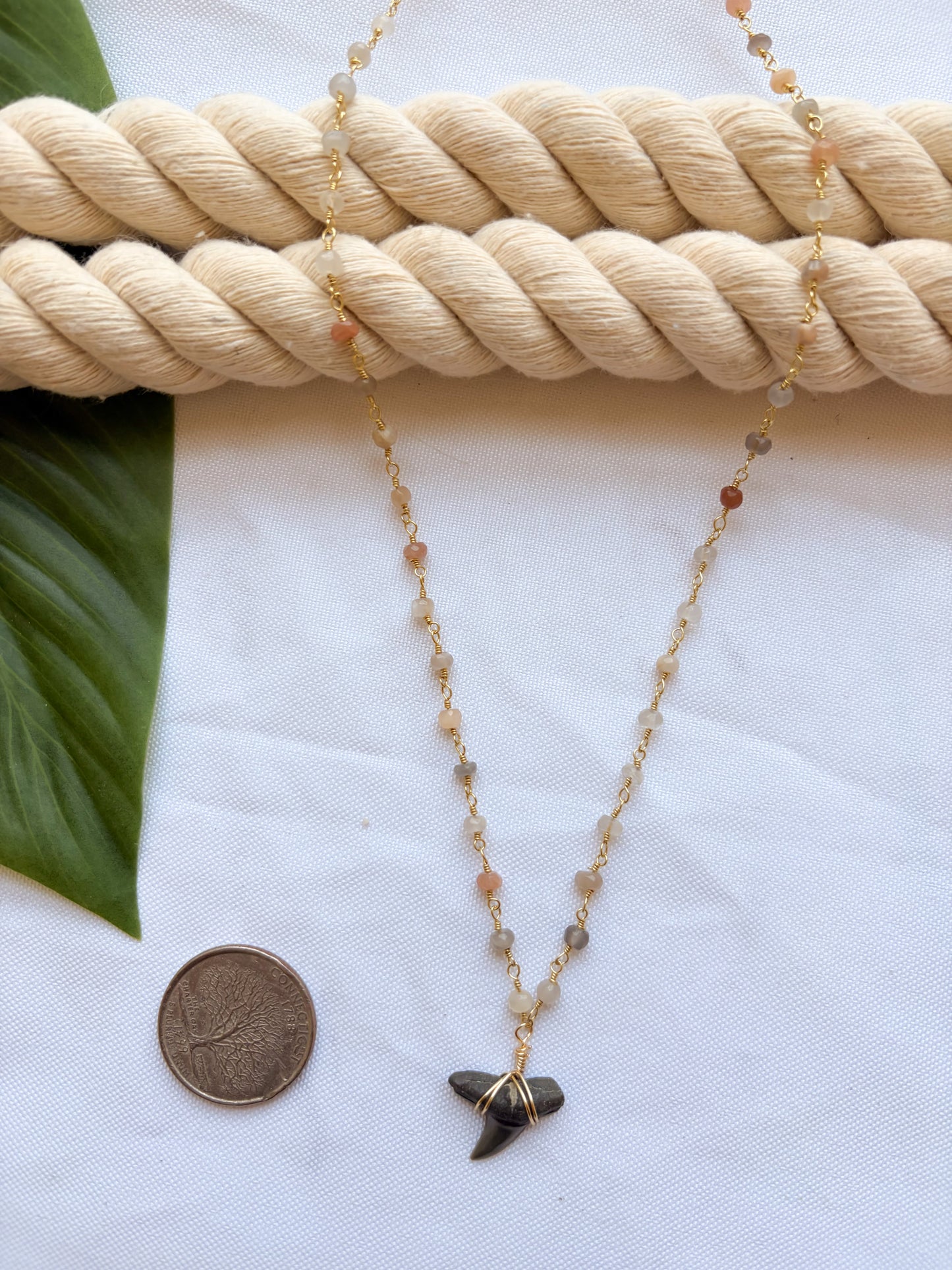 Moonstone Shark Tooth Necklace