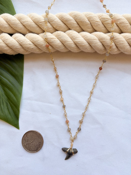 Moonstone Shark Tooth Necklace