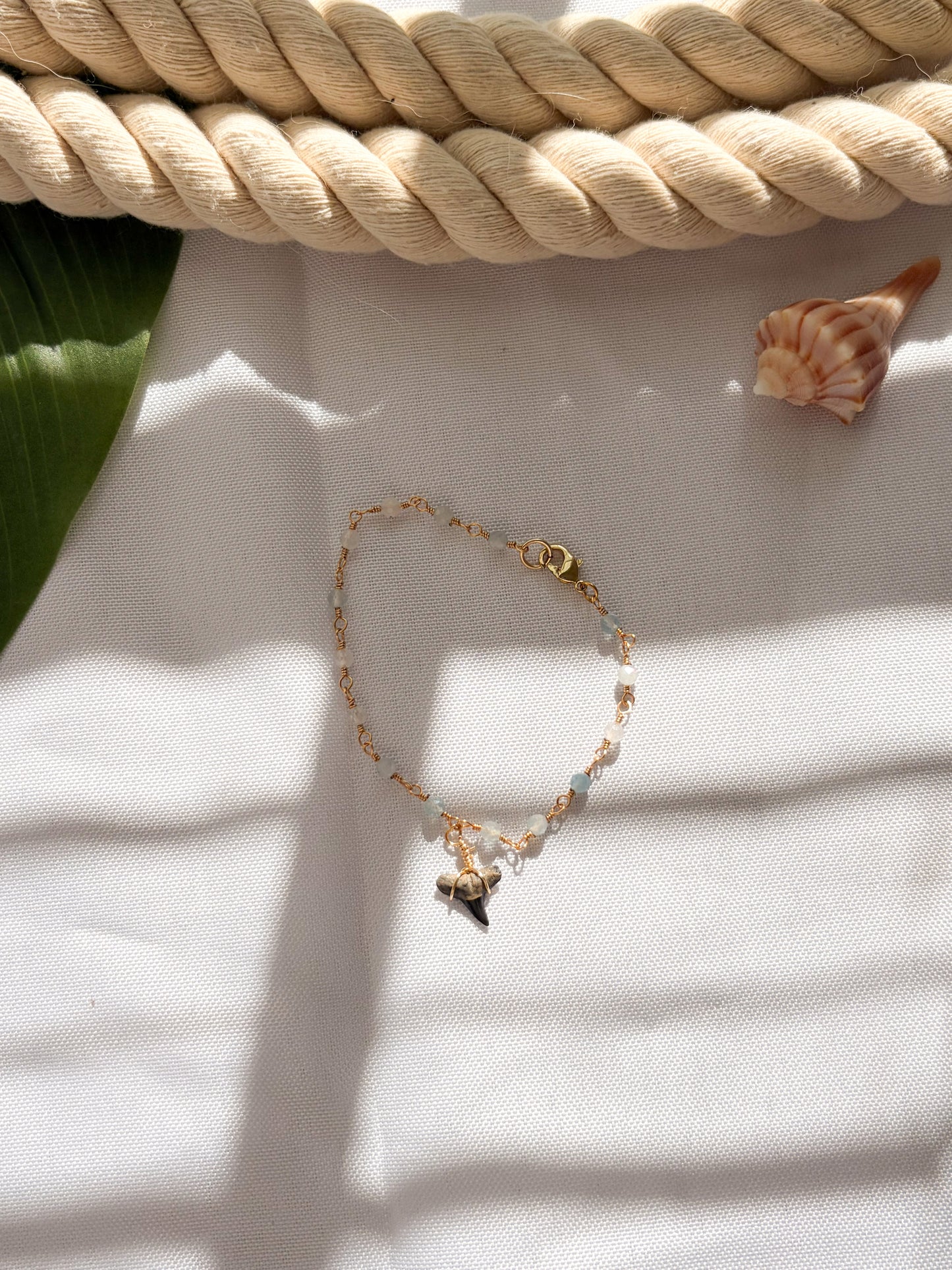 Aqua Current Shark Tooth Bracelet
