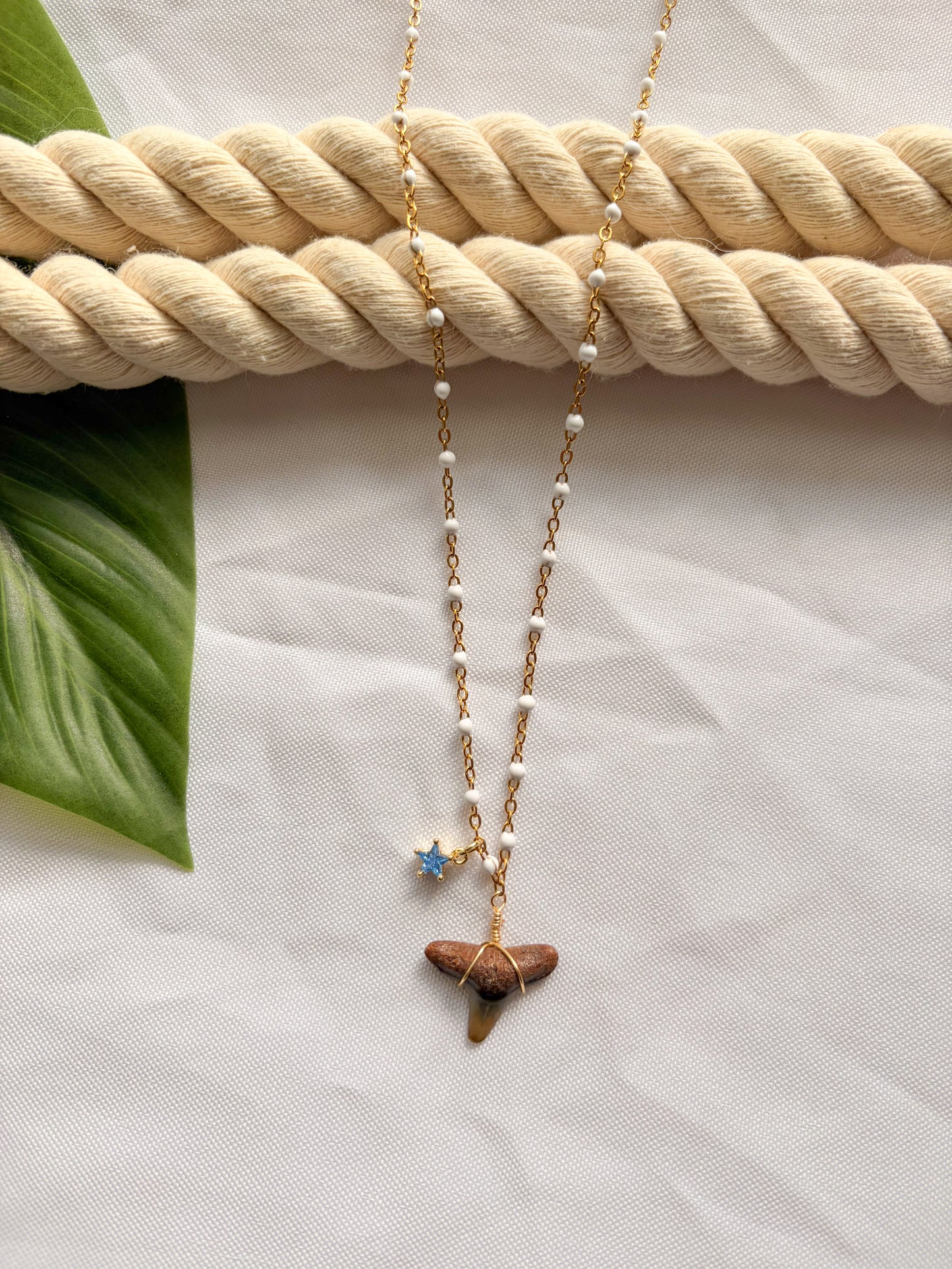 Starry Surf Stainless Steel Shark Tooth Necklace