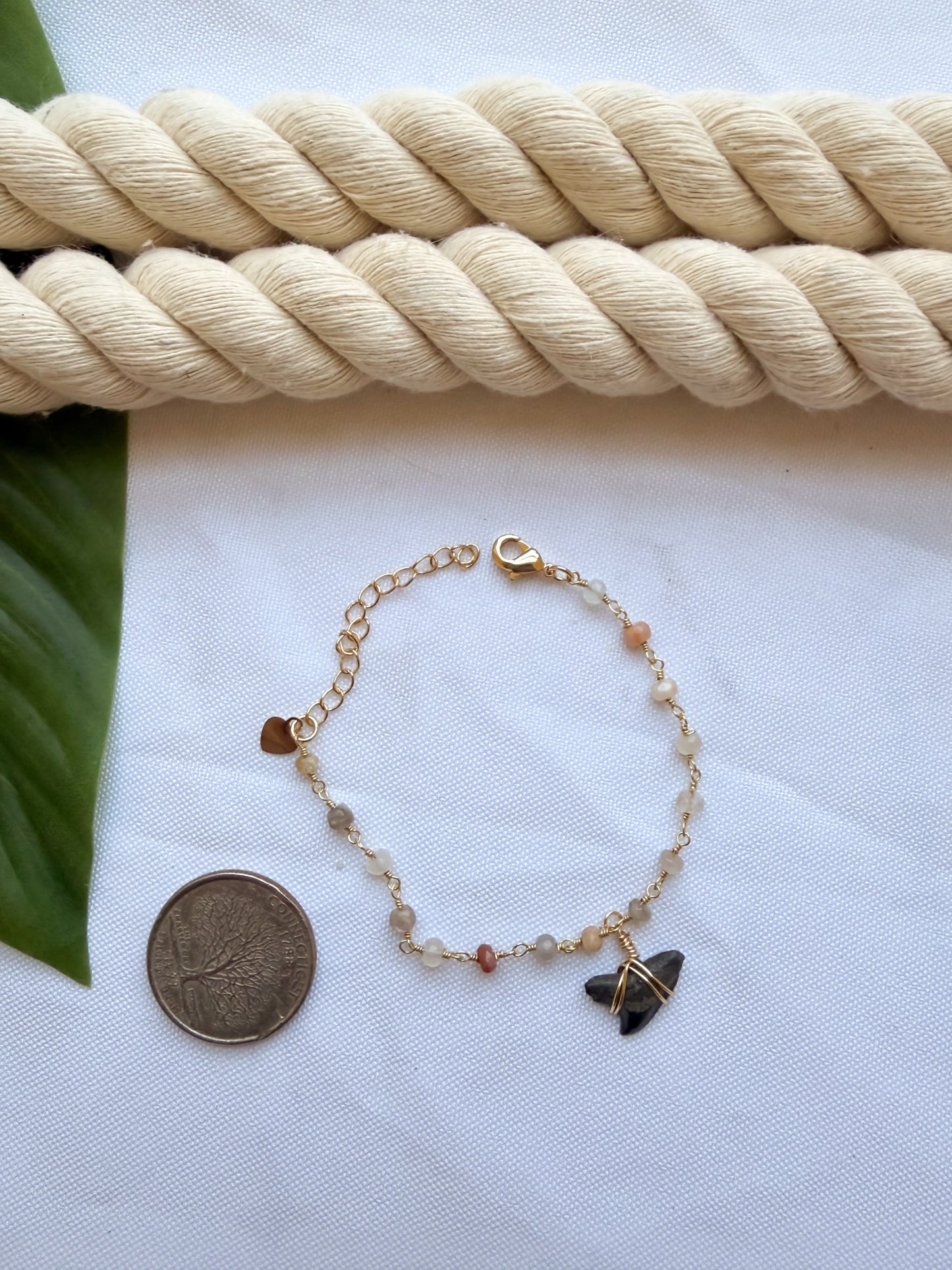 Rainbow Moonstone Shark Tooth Bracelet
