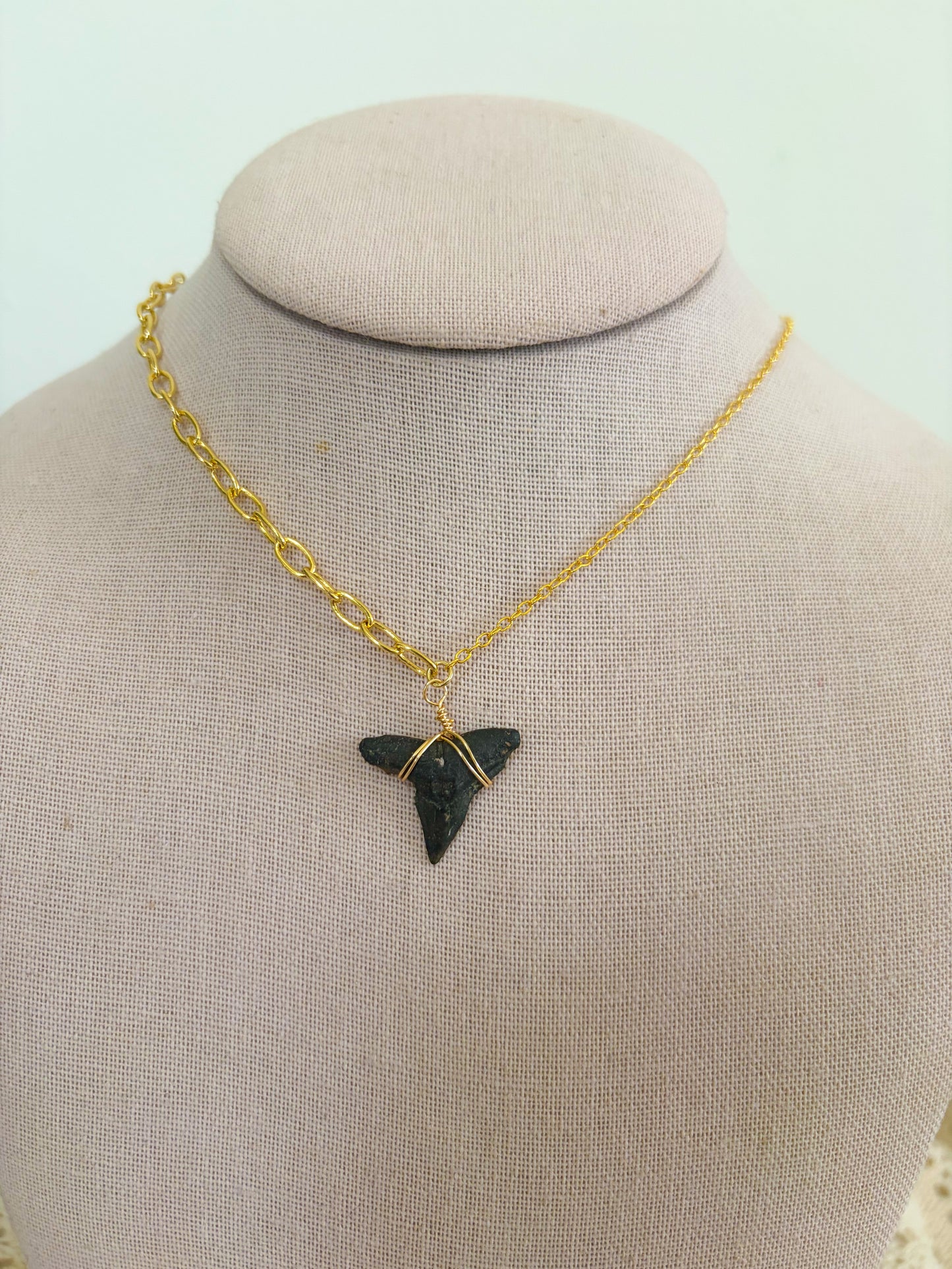 Mixed Chain Shark Tooth Necklace