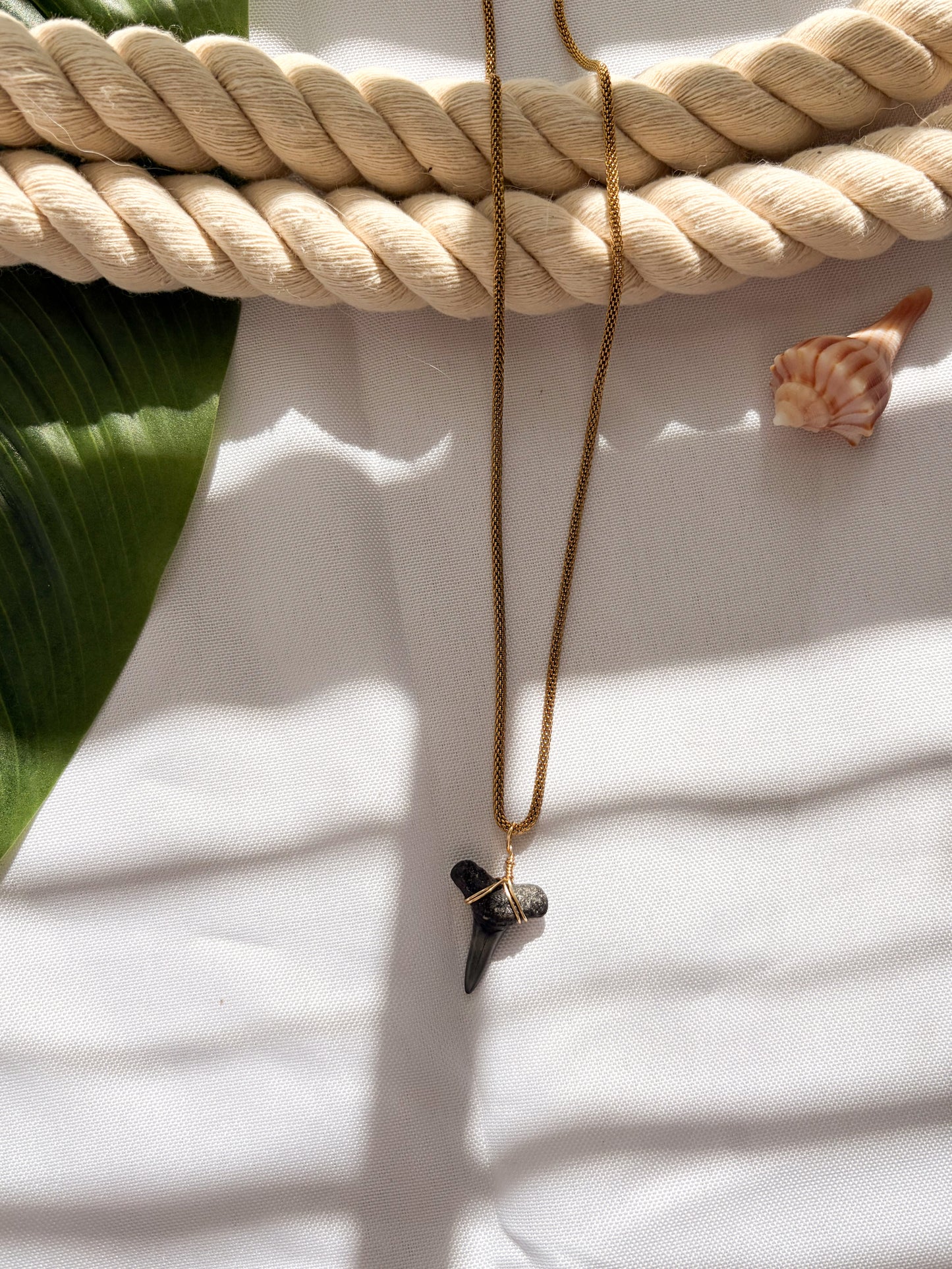 Deep Sea Shark Tooth Necklace