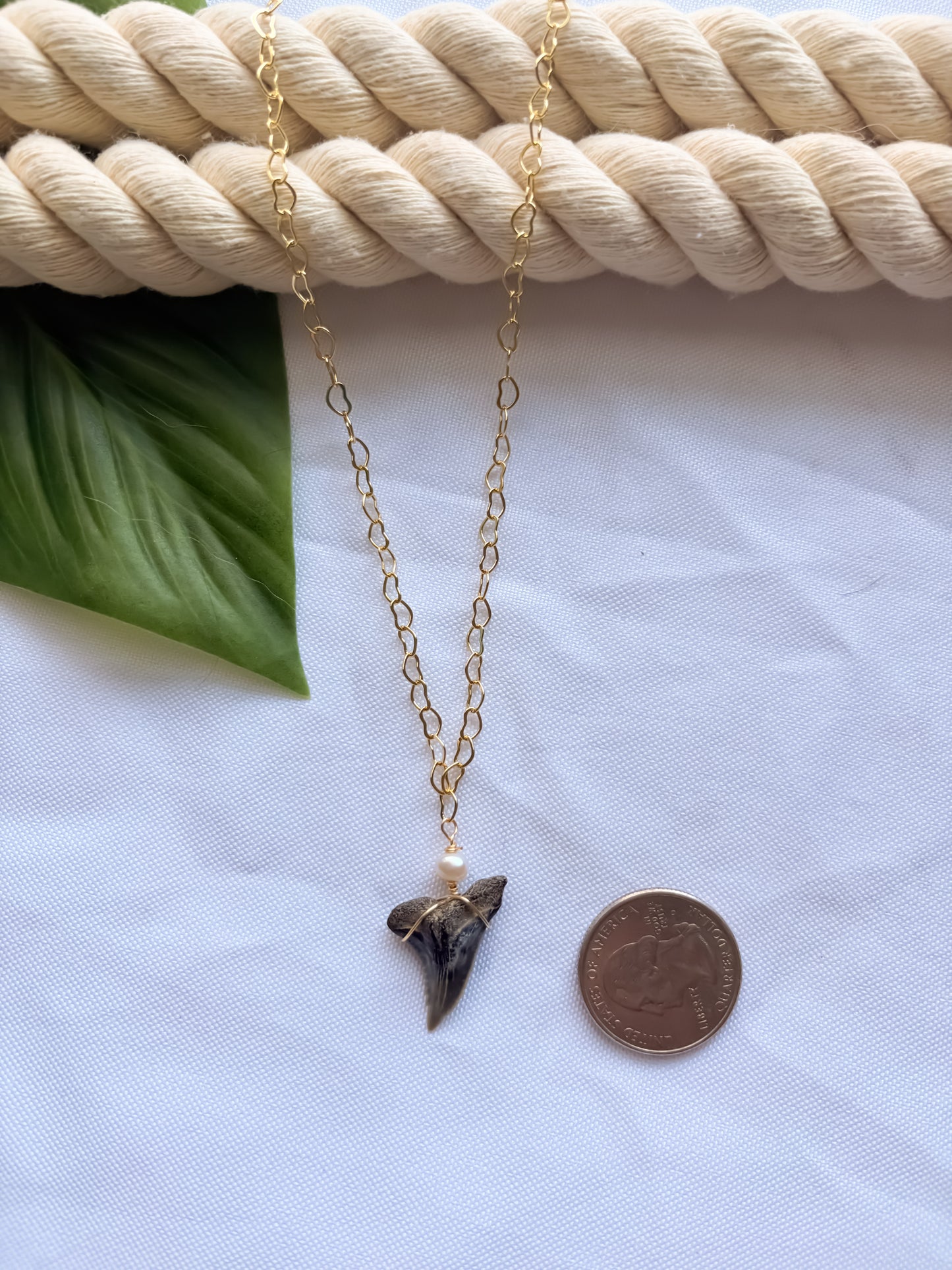 Heart of the Hammerhead- Shark Tooth Necklace