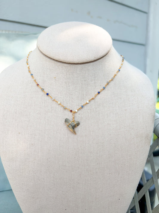 Multicolor Carolina Cream Shark Tooth Necklace