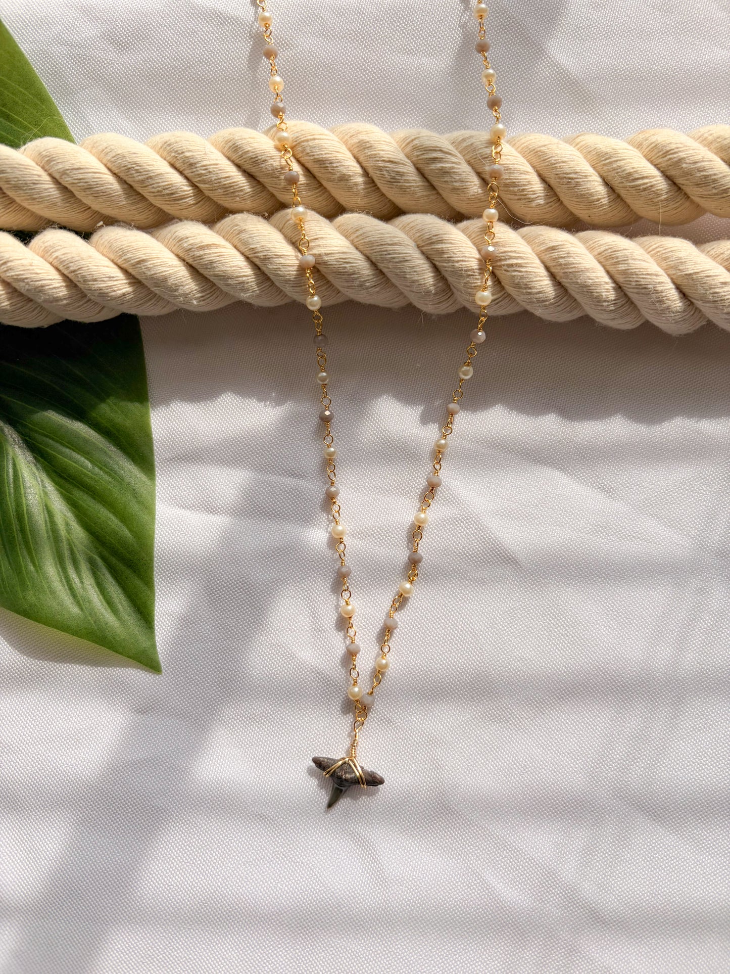 Lunar Tide Moonstone & Pearl Shark Tooth Necklace