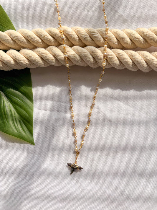 Lunar Tide Moonstone & Pearl Shark Tooth Necklace