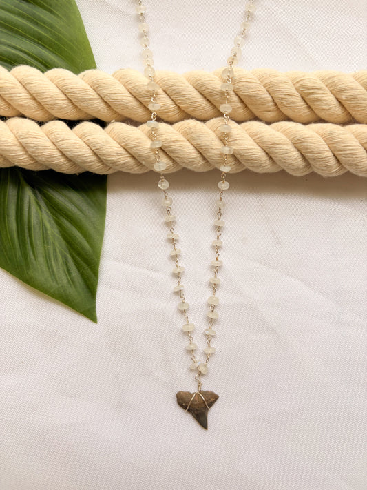 Silver Plated Shark Tooth Necklace (Clear Beaded Chain)